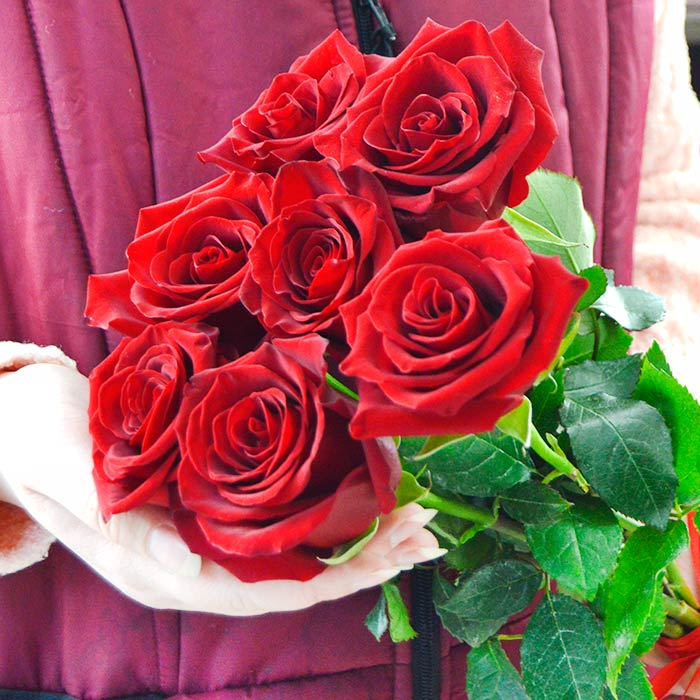 Букет из 7 красных роз